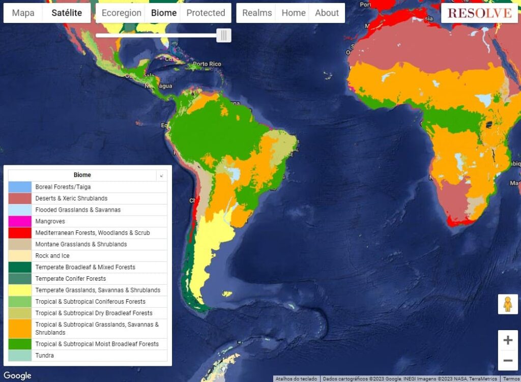 Plataforma interativa de Ecorregiões e biomas do mundo
